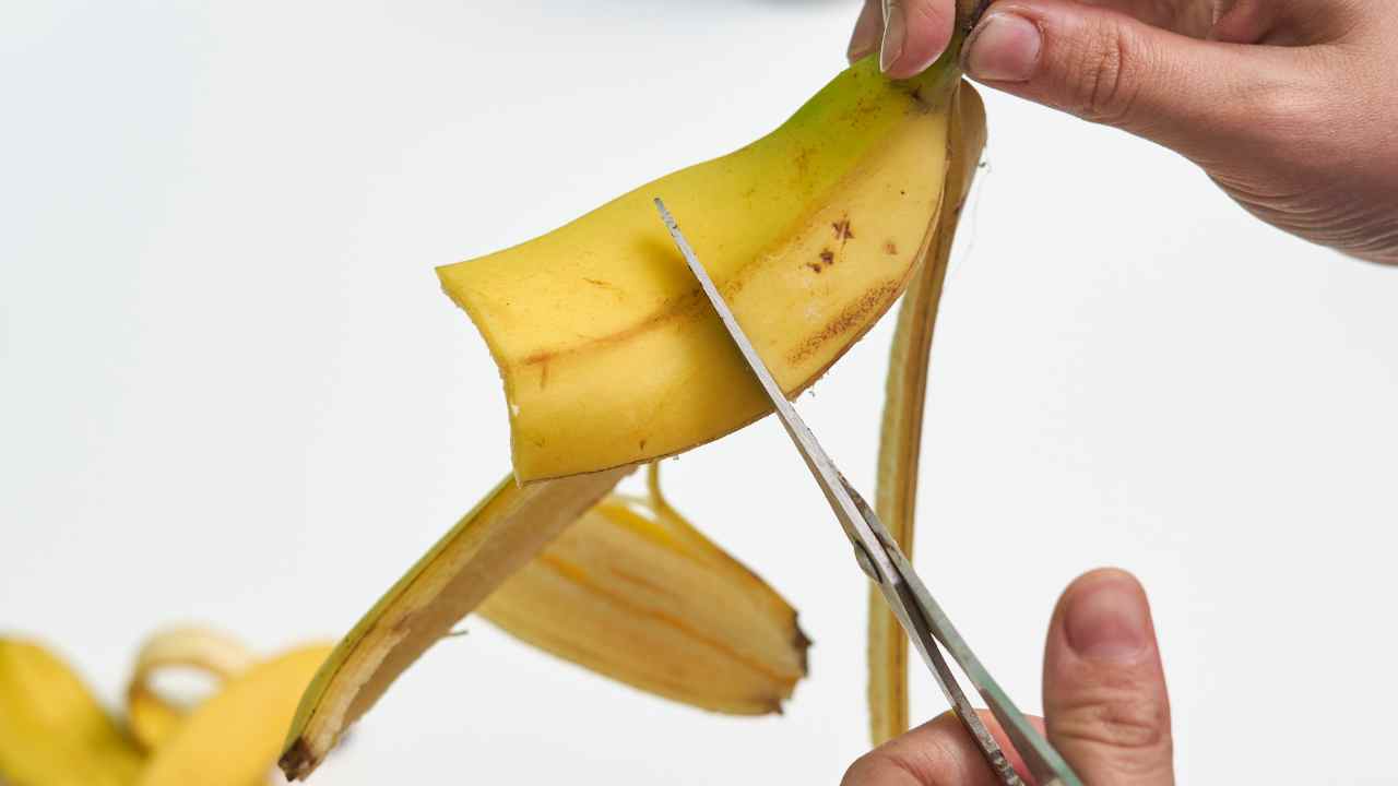 Non buttare le bucce di banane ecco come usarle - Sevenonline.it